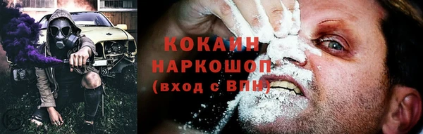 PSILOCYBIN Алзамай