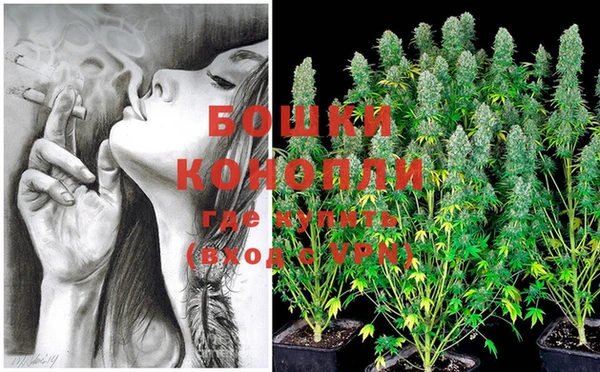 PSILOCYBIN Алзамай