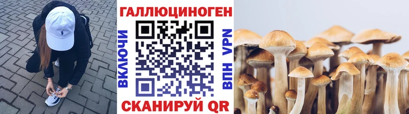 Галлюциногенные грибы мухоморы  мега онион  Тольятти 
